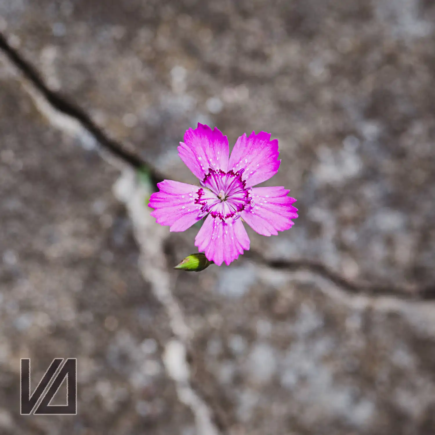 resilience