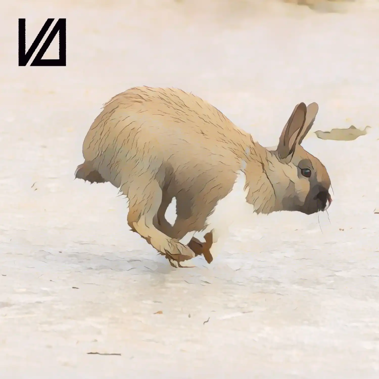 runRabbit