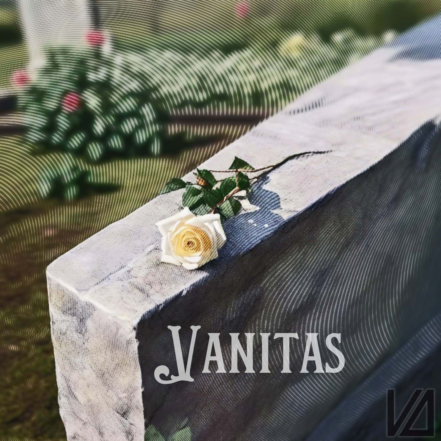 Vanitas